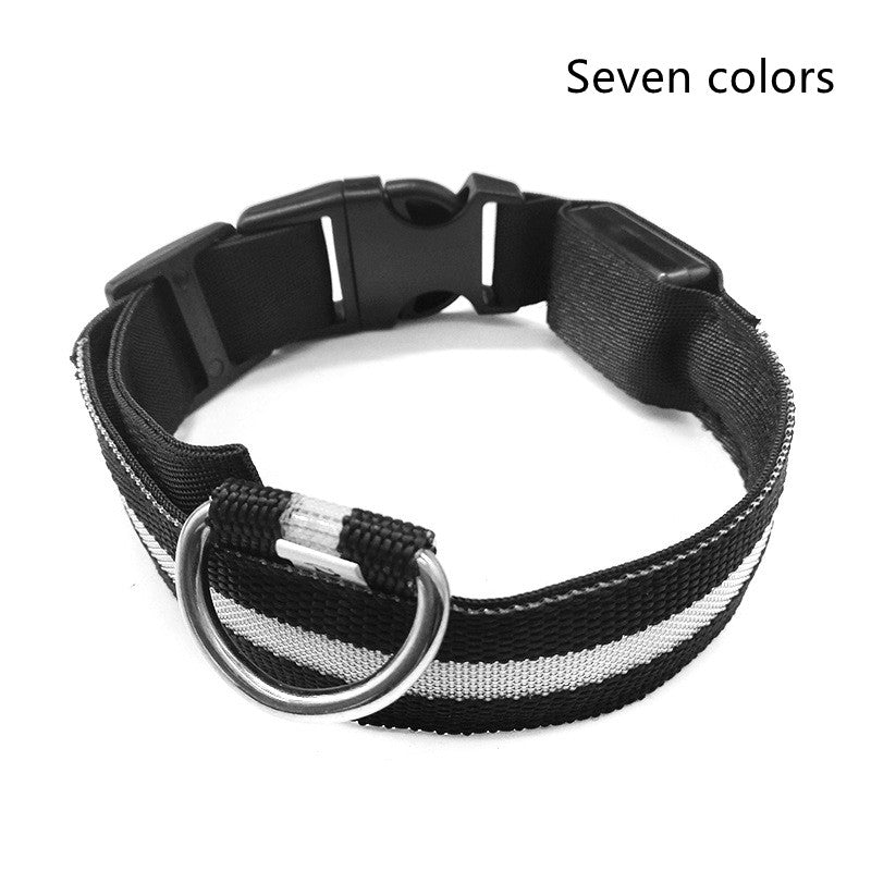 Bright LED Collar for Happy, Safe Evening Adventures