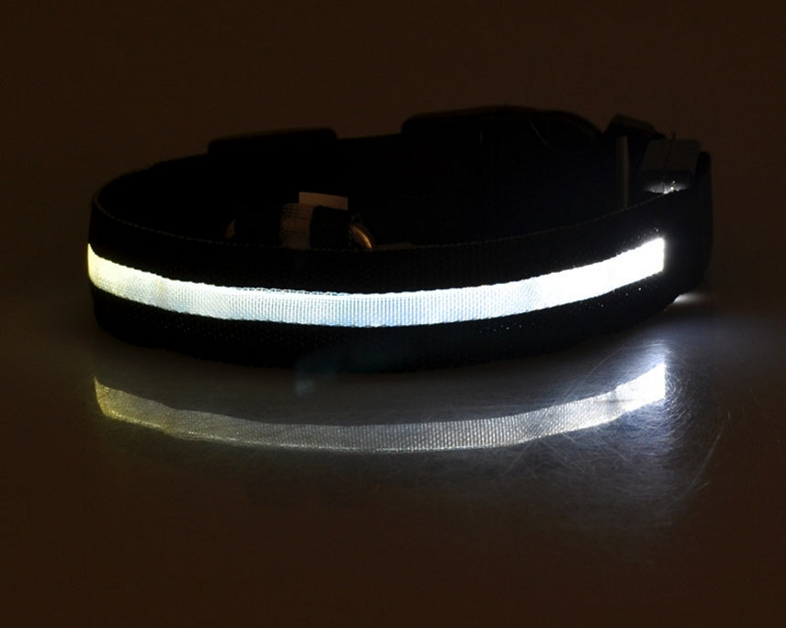 Bright LED Collar for Happy, Safe Evening Adventures