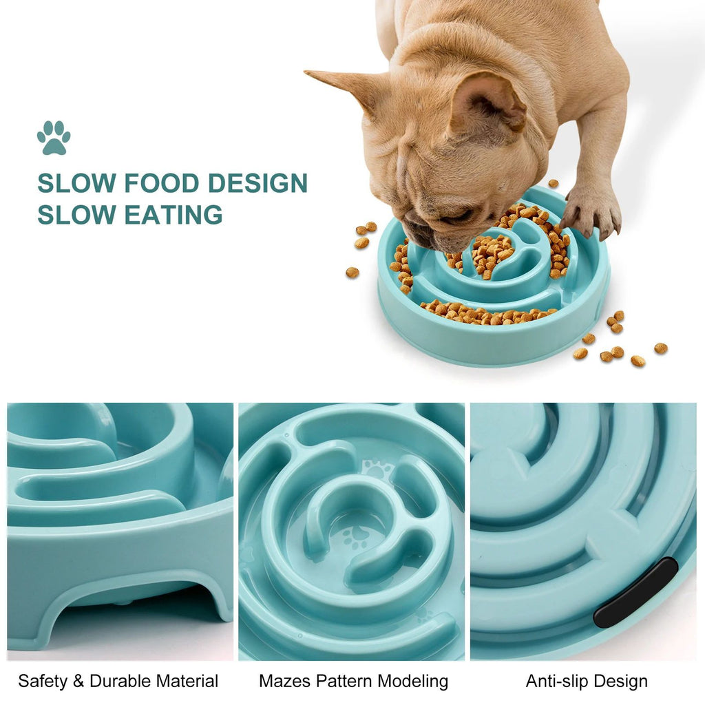 Slow Feeder Bowl: Calm, Safe, and Fun for Pets