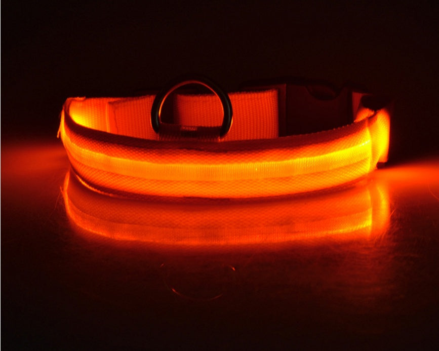 Bright LED Collar for Happy, Safe Evening Adventures