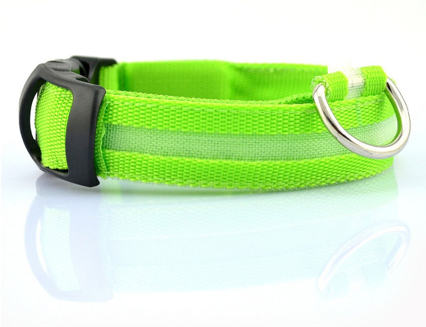 Bright LED Collar for Happy, Safe Evening Adventures