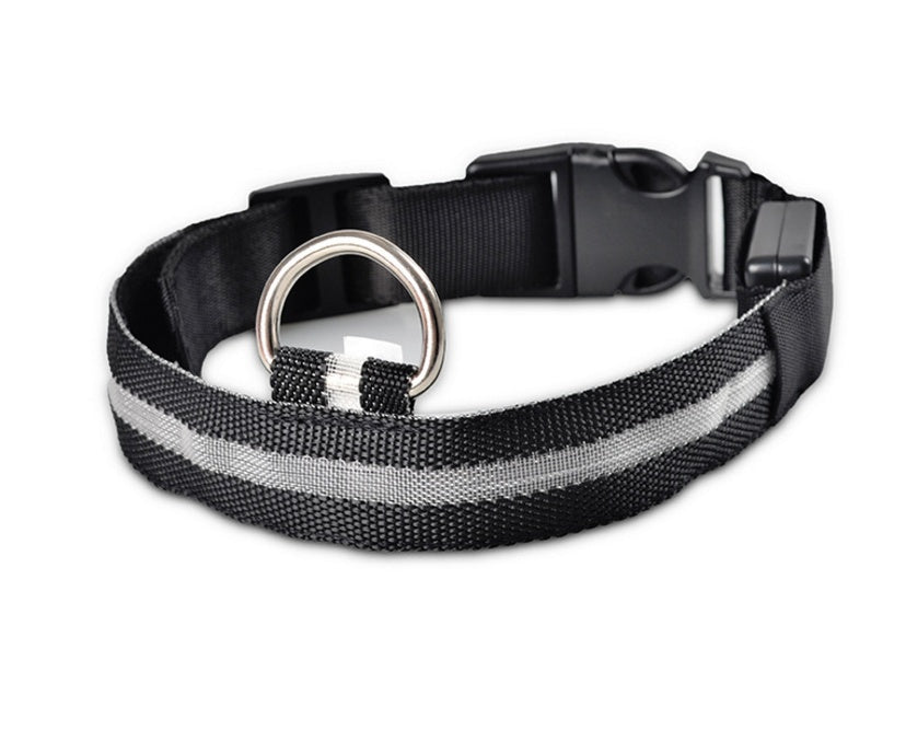 Bright LED Collar for Happy, Safe Evening Adventures