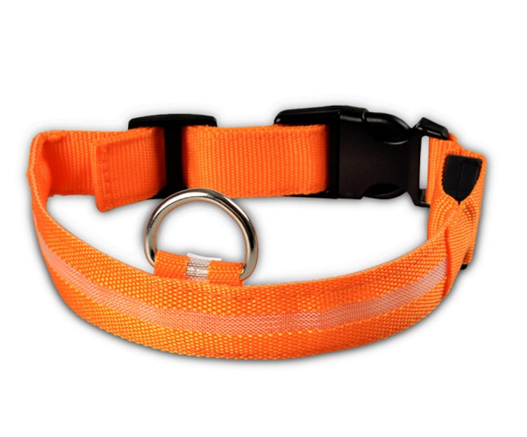 Bright LED Collar for Happy, Safe Evening Adventures