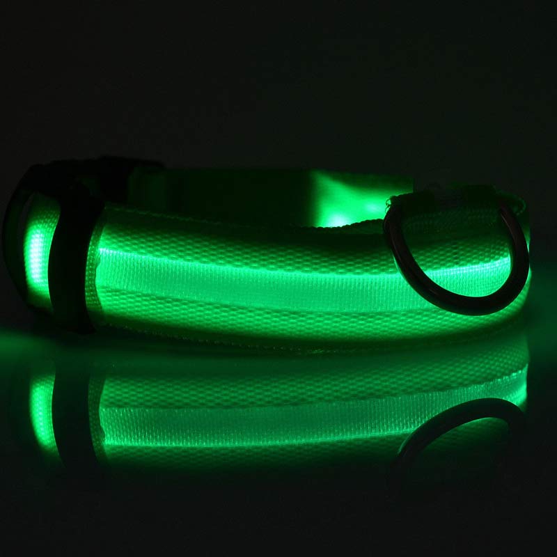 Bright LED Collar for Happy, Safe Evening Adventures