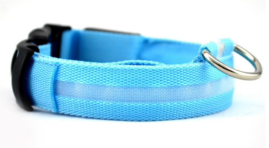 Bright LED Collar for Happy, Safe Evening Adventures