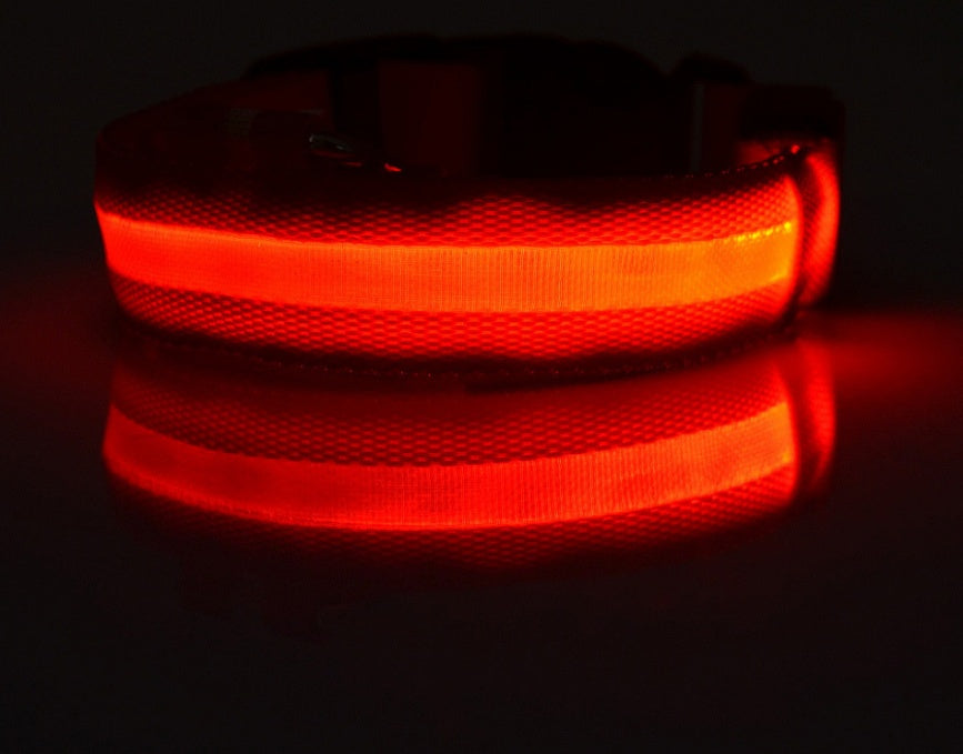 Bright LED Collar for Happy, Safe Evening Adventures
