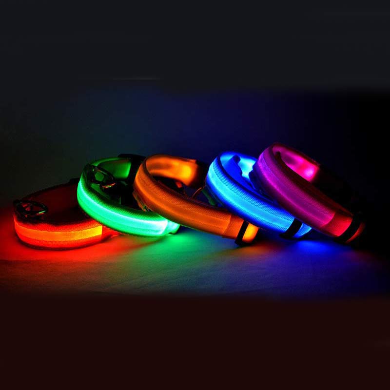 Bright LED Collar for Happy, Safe Evening Adventures