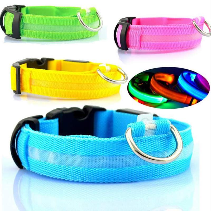 Bright LED Collar for Happy, Safe Evening Adventures