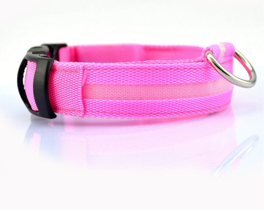 Bright LED Collar for Happy, Safe Evening Adventures
