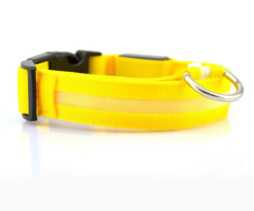 Bright LED Collar for Happy, Safe Evening Adventures