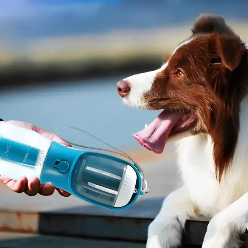 All-in-One Dog Water Bottle: Feed, Hydrate, Clean Easily