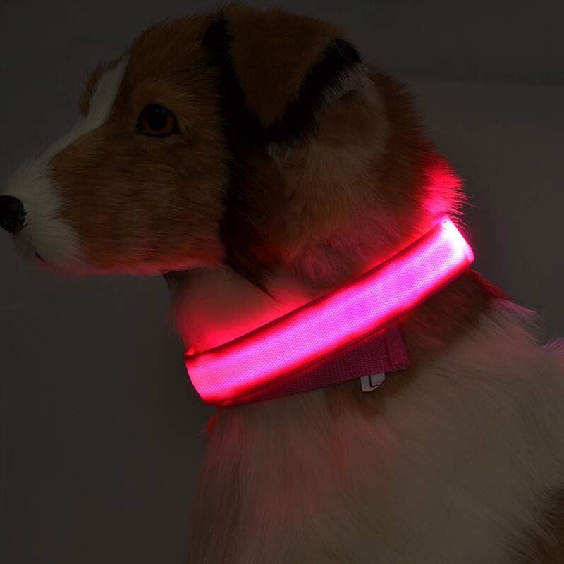 Bright LED Collar for Happy, Safe Evening Adventures