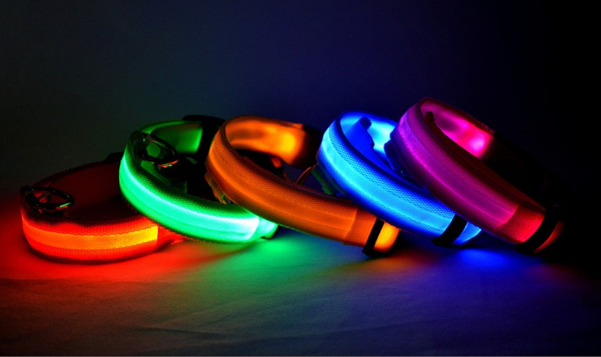 Bright LED Collar for Happy, Safe Evening Adventures
