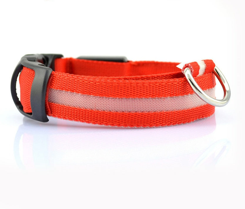 Bright LED Collar for Happy, Safe Evening Adventures