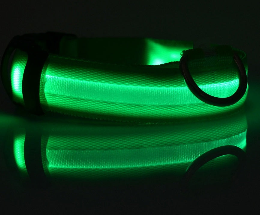 Bright LED Collar for Happy, Safe Evening Adventures
