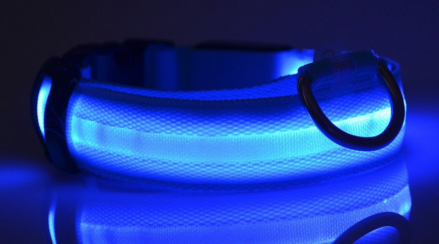 Bright LED Collar for Happy, Safe Evening Adventures