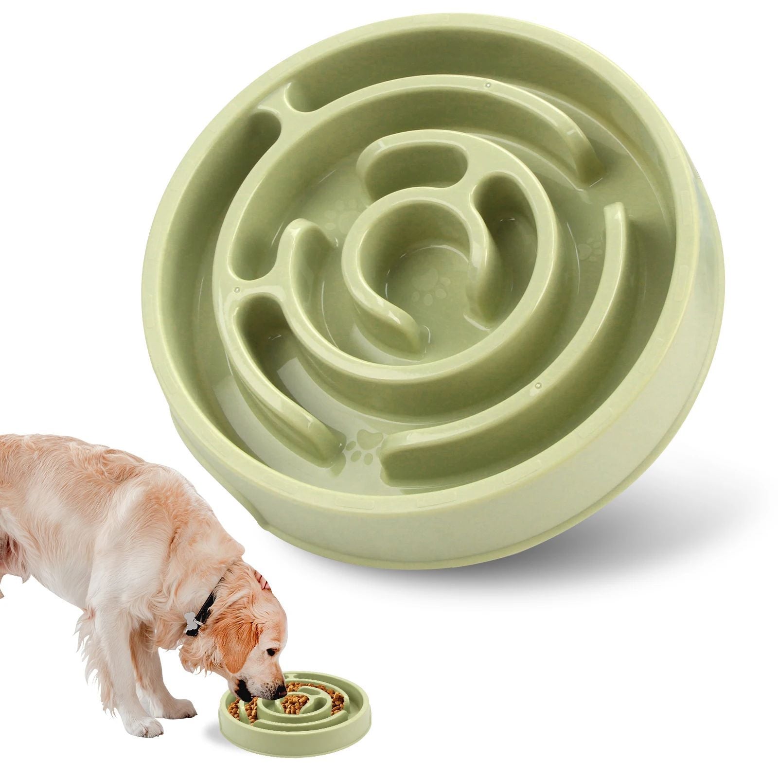 Slow Feeder Bowl: Calm, Safe, and Fun for Pets