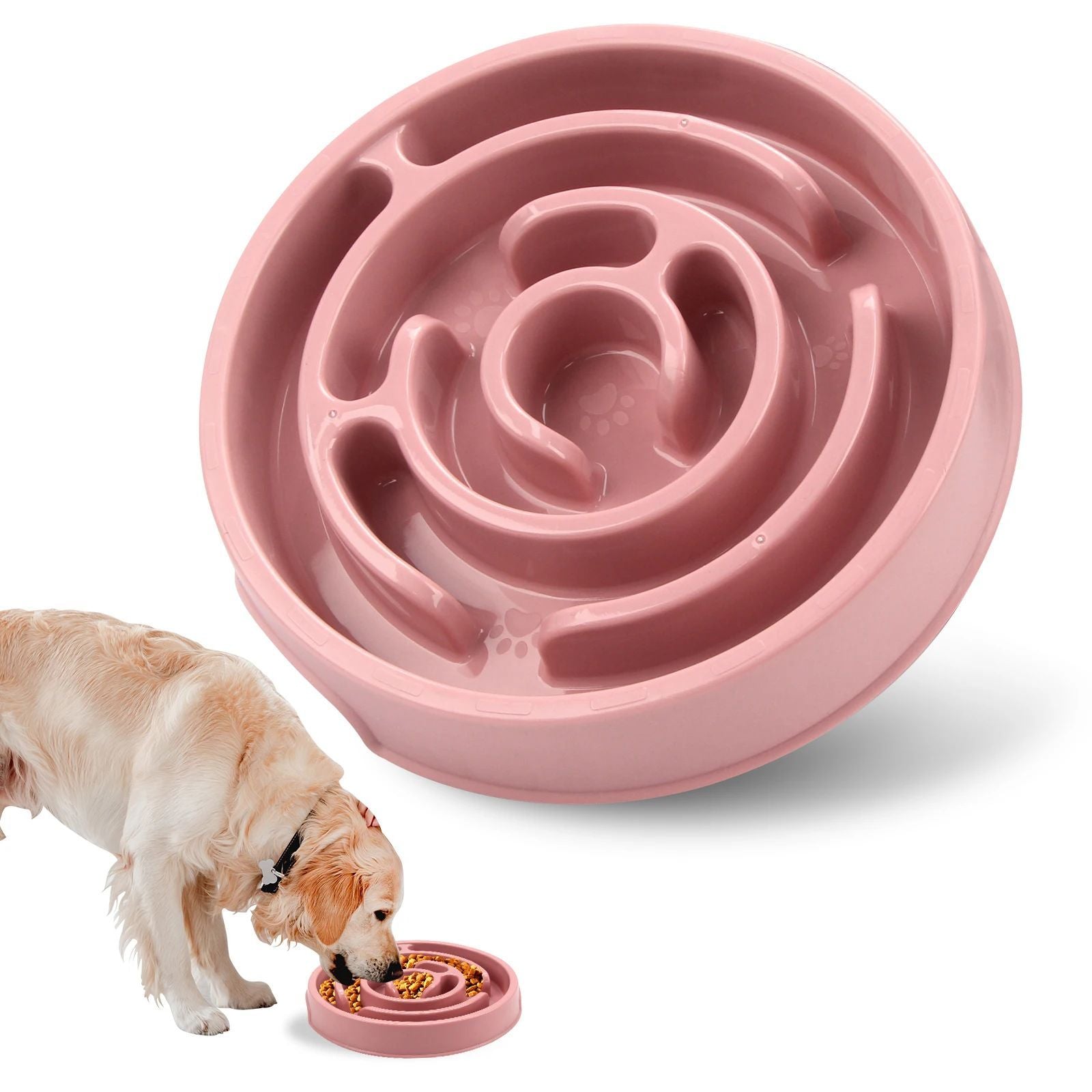 Slow Feeder Bowl: Calm, Safe, and Fun for Pets
