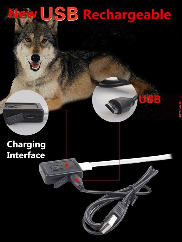 Bright LED Collar for Happy, Safe Evening Adventures