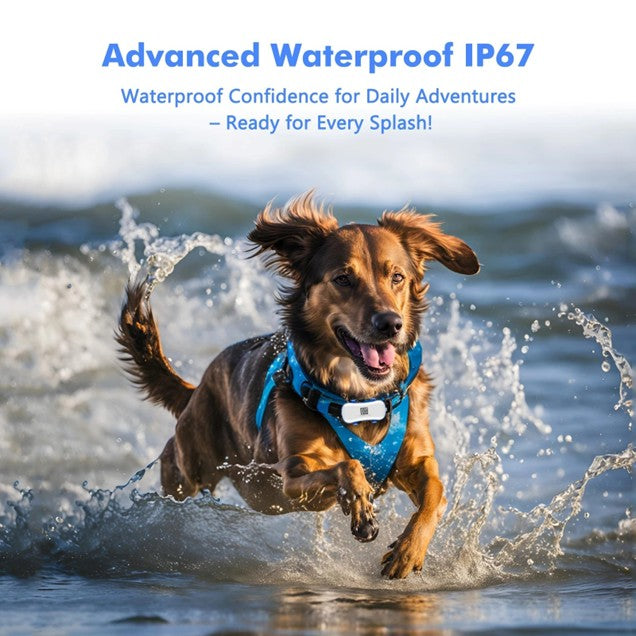 Track Their Adventures, Protect Their Journey