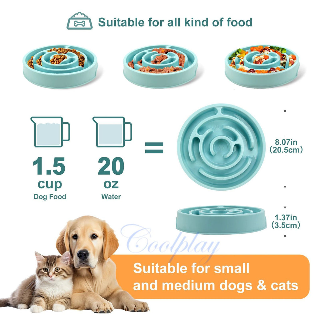Slow Feeder Bowl: Calm, Safe, and Fun for Pets
