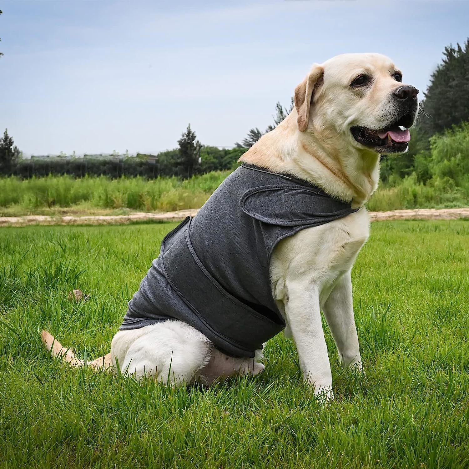 Stress Relief Breathable Dog Jacket for Comfort and Confidence