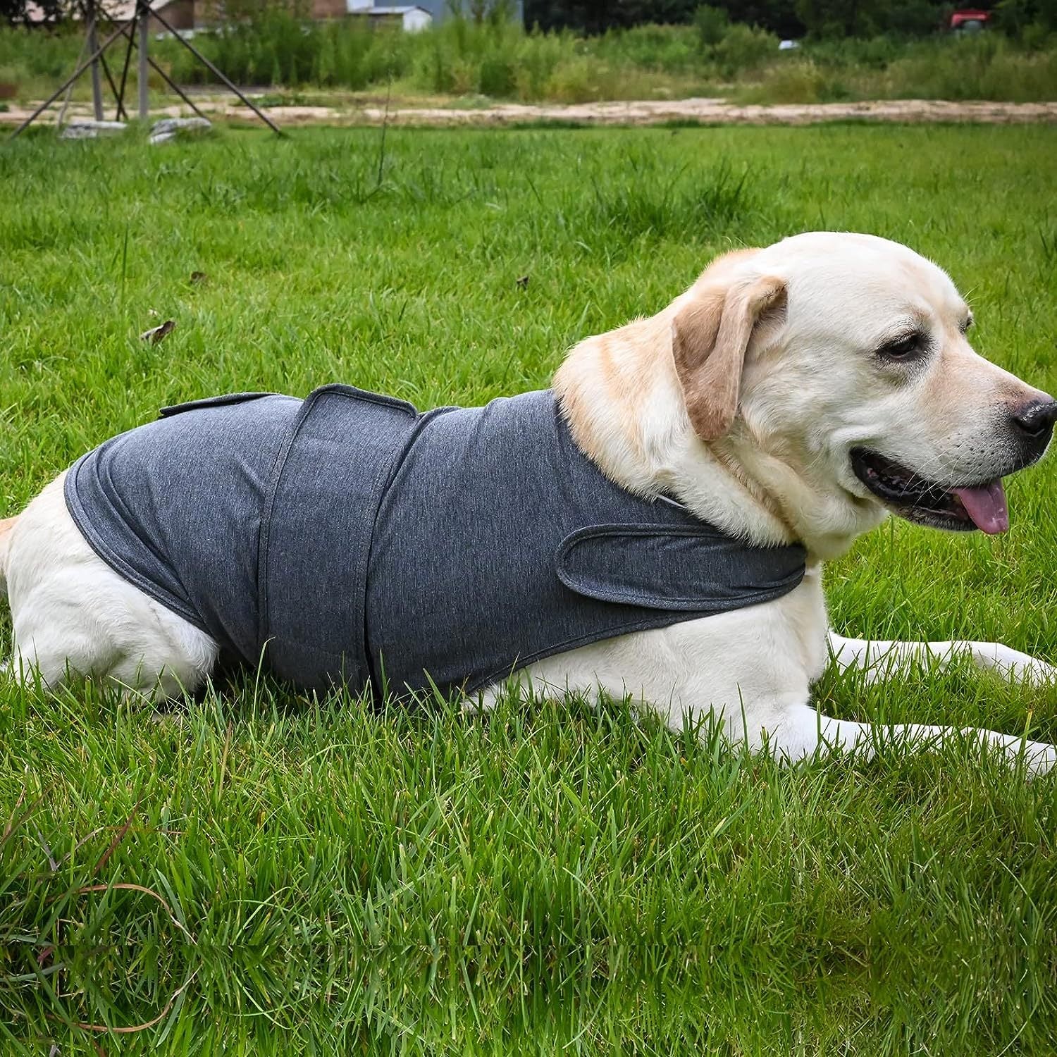 Stress Relief Breathable Dog Jacket for Comfort and Confidence